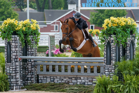 Odette ridden by Victoria Colvin Phelps Sports