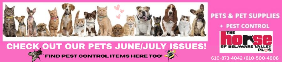 Pets & Pest Control 2026 Promo 