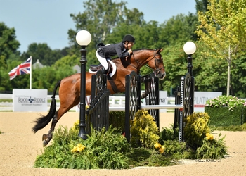 Paradigm Shannon Brinkman