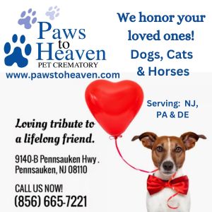 Paws to Heaven