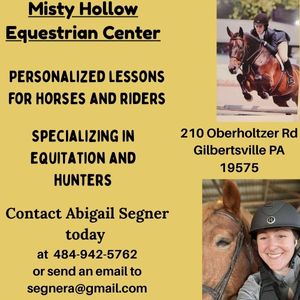 Misty Hollow Equine Center