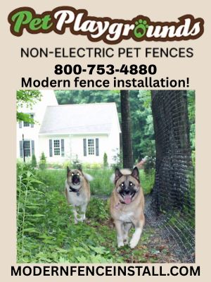 Pets Play Ground 