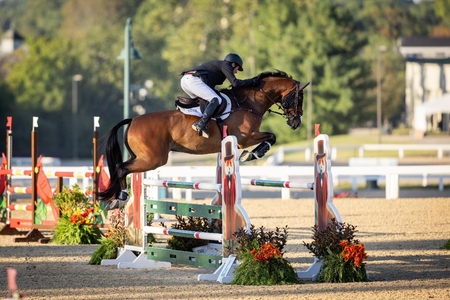 Phippil Dutton on Possante Randolph PR