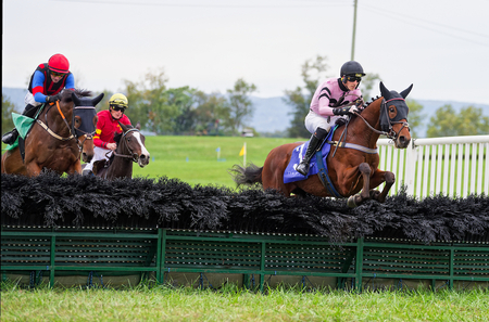 Private Larry right leads Norris over last in OKeefe Lost Kitty in background 1