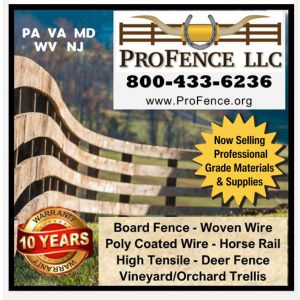Pro Fence