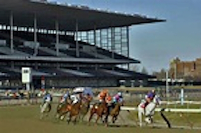 Racing Aqueduct turf course