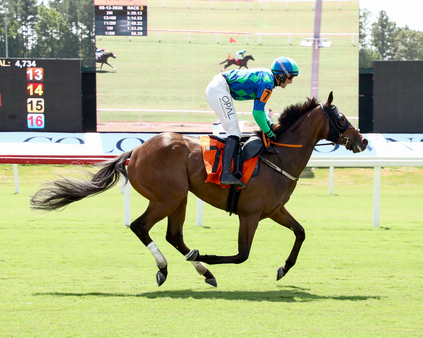 SIENNOIS IRE 08 13 26 R03 Colonial Downs Finish 01