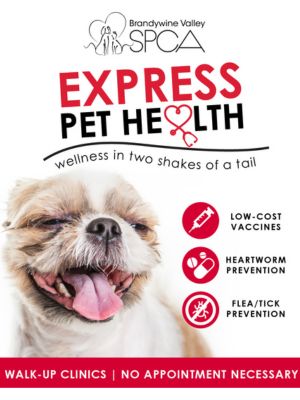 Brandywine Valley SPCA 2026