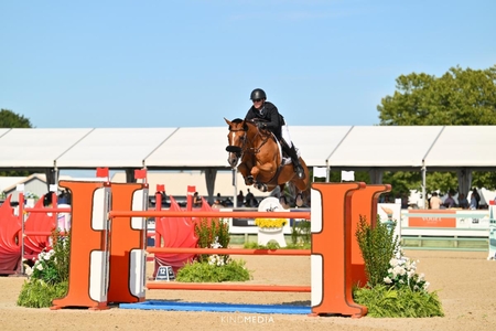 Shane Sweetnam on Coriaan Van Klapscheut Z KindMedia