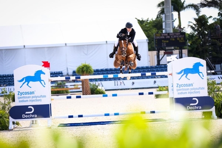 Shane Sweetnam on Coriaan van Klapscheut Z Cassidy Klein