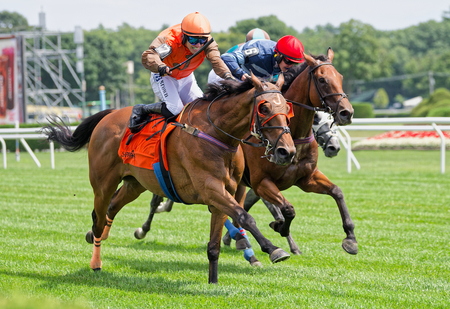 Smart Uncle left outduels Roja Redemption in Smithwick 41