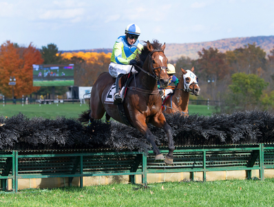 Snap Decision leads over last in Ferguson 3