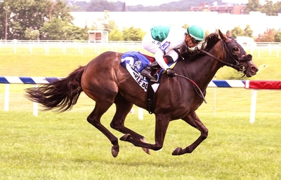 Sparkle Blue James McCue