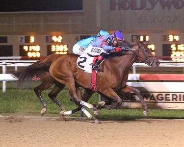 Ssimply Stated Bill Denver