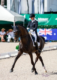 Susan Pape on Harmonys V Plus Susan Stickle