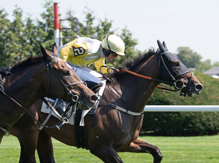 Swore defeats Welshman in Lonesome Glory 2