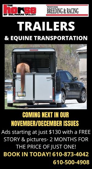 Trailers Promo 2026