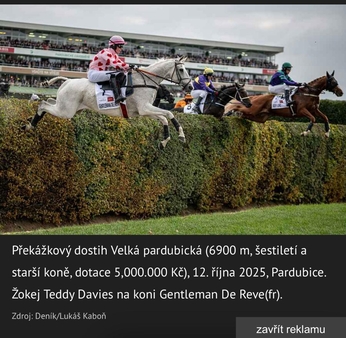 Teddy Davieson Gentleman de Reve