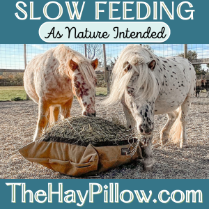 The Hay Pillow