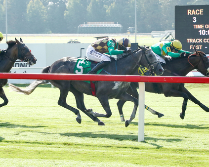 Timetoshine The Marion Dupont Scott Stakes Coady