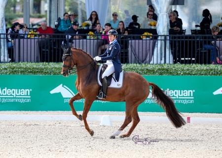 Tinne Vilhelmson Silfven on Hyatt Susan Stickle 1