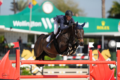 Tom Wachman on Oboras Laura Sportfot