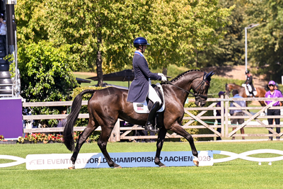 William Coleman Diablo by Allen MacMillan DSC 1549