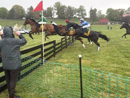 Withoutmoreado Shootist Animal Kingston