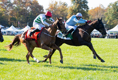Zanahiyr left outduels Ballysax Hank past last in Grand National 12