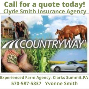 Clyde Insurance 