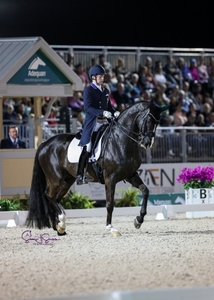  evin Kohmann on Dunensee GP Freestyle Susan Stickle