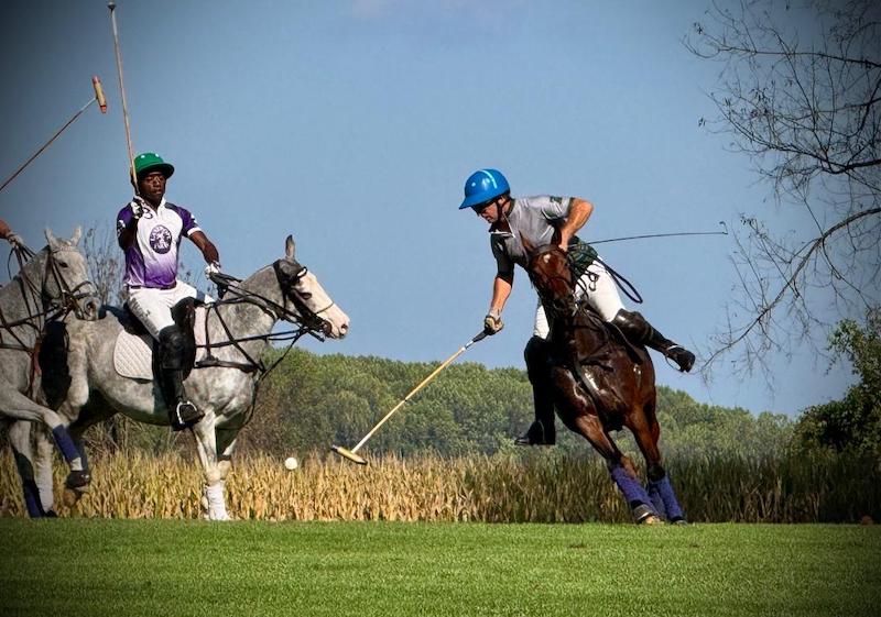 action polo swinging Bates