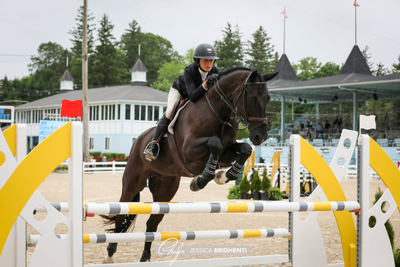 ayna Rizvi on Acer K Jessica Brighenti