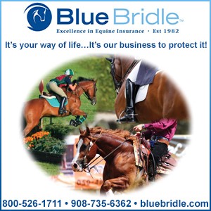 Blue Bridle Insurance
