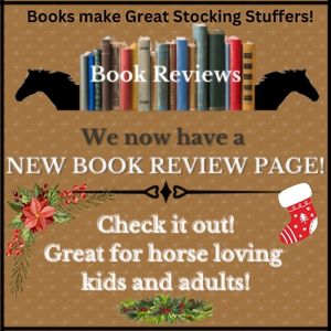 Book Reviews PROMO ad-Holiday