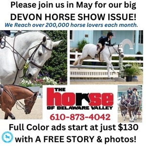 Devon Horse Show 2024 Ad Sales Promo