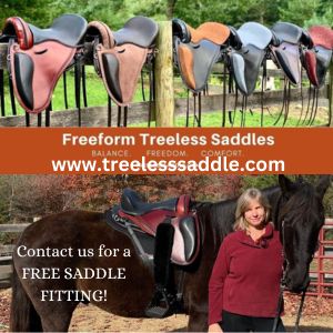 Treeless Saddle-Saddle Up