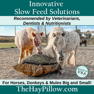 Hay Pillow-Winter Care 2023