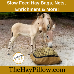 The Hay Pillow - April