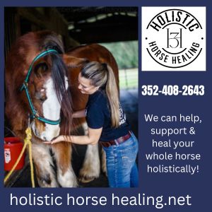 Holistic Horse Healing