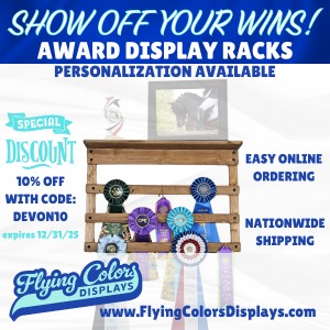 Flying Colors Displays 