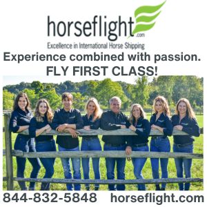 Horse Flight