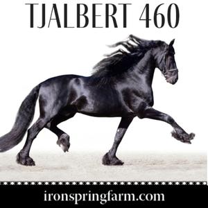 Tjalbert 460-Iron Springs Farm