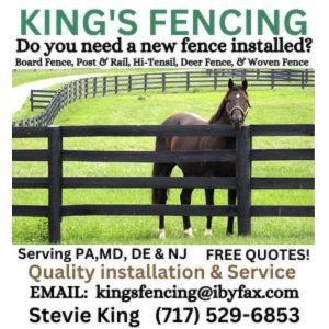 King Fencing 