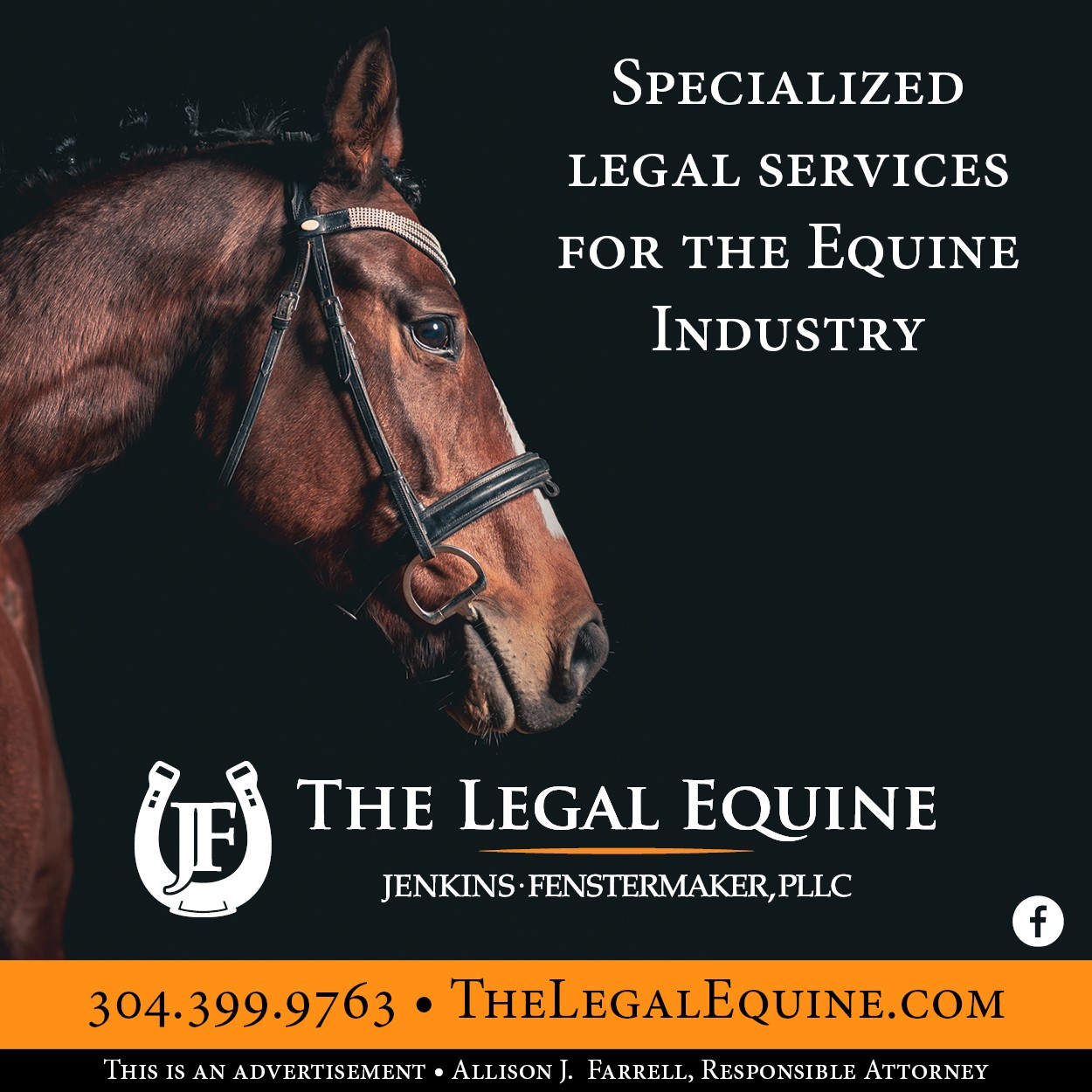 The Legal Equine