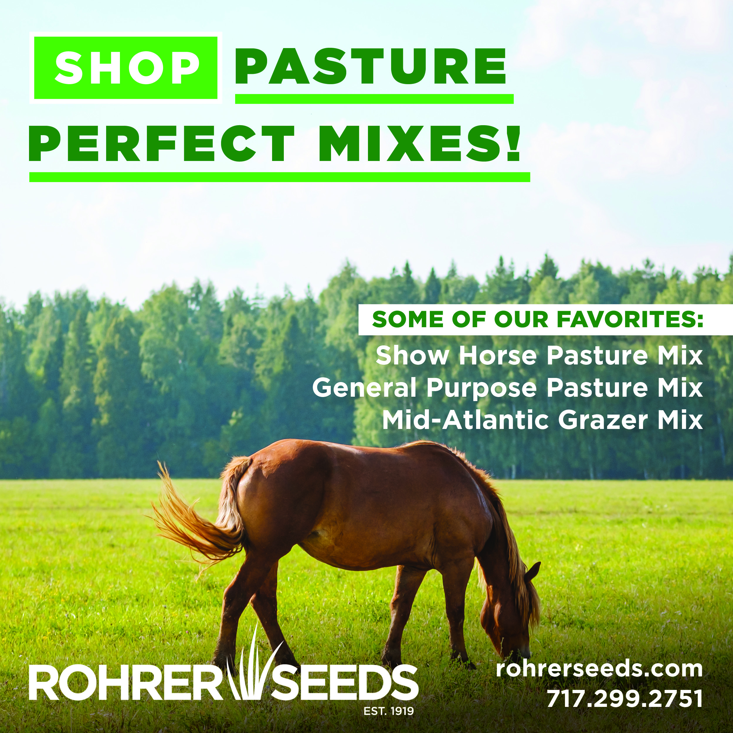 Roher Seeds