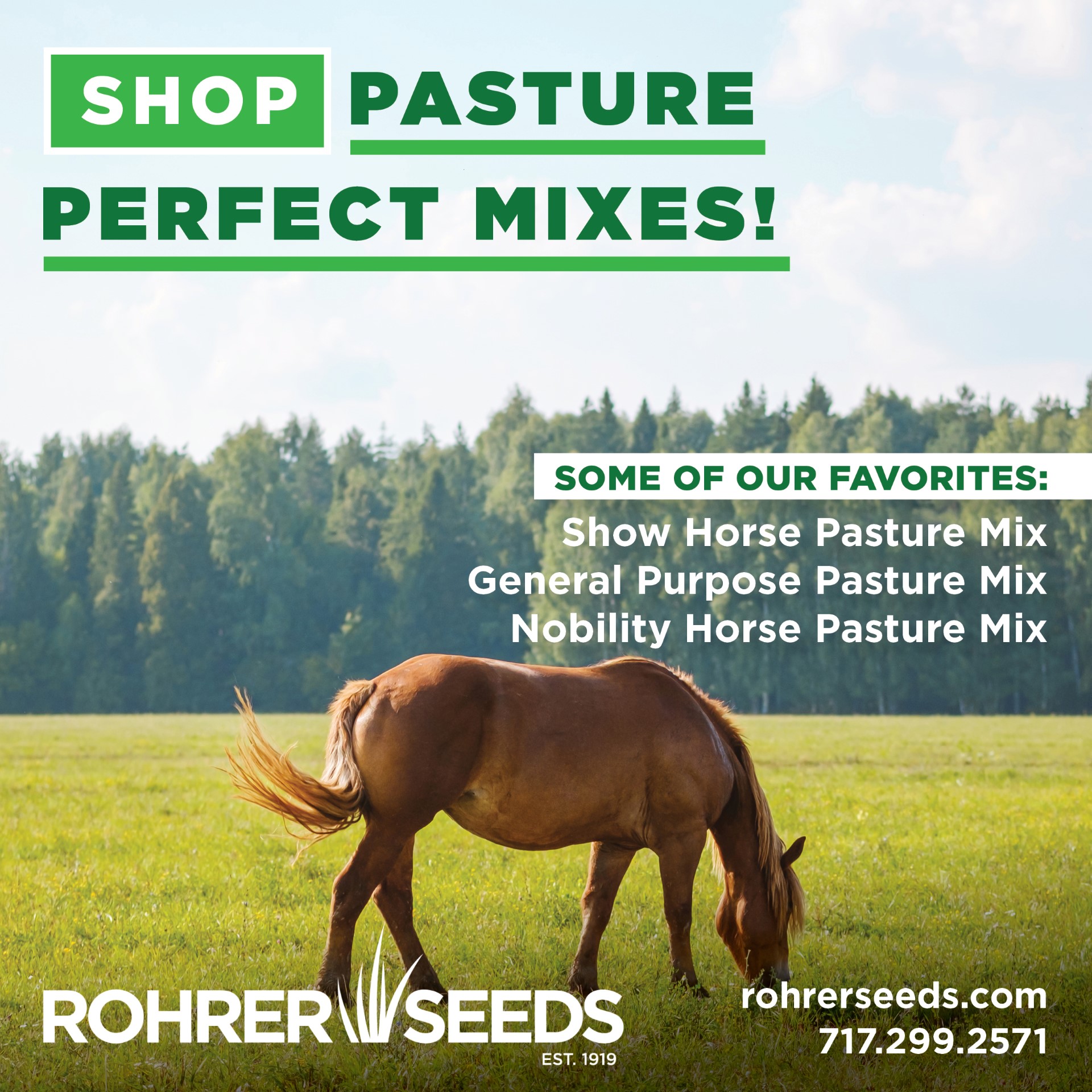 Rohrer Seeds-Equine Feed Page ONLY