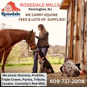 Rosedale Mills