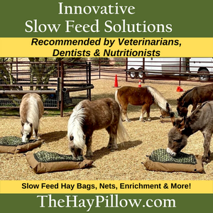 The Hay Pillow