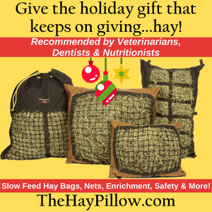 The Hay Pillow